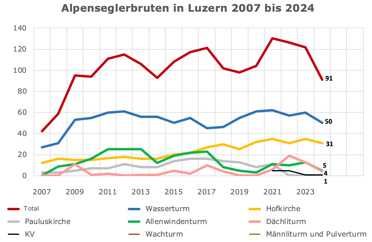 Alpenseglerbruten2024